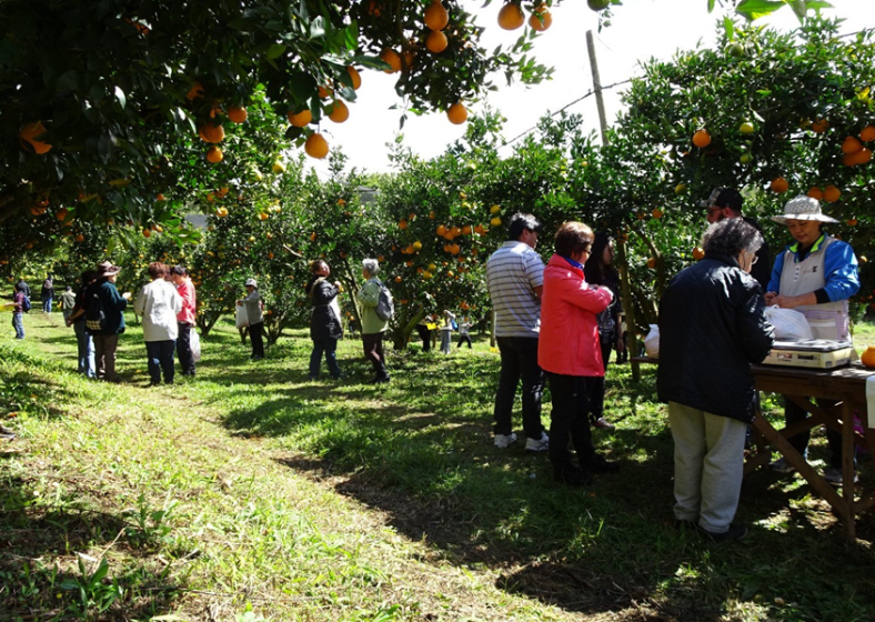 Passeio em propriedades rurais promove turismo em São Miguel Arcanjo.