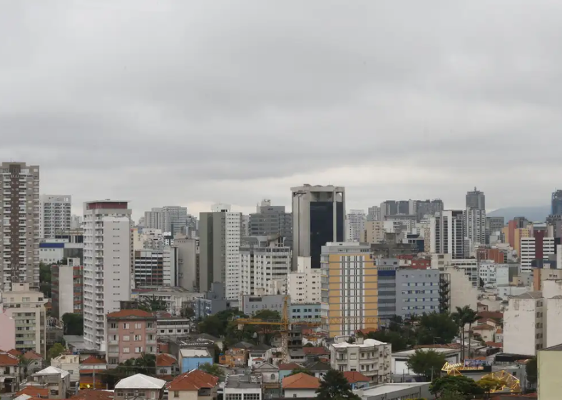 A coordenadora lembra que as discrepâncias não são exclusividade de São Paulo, já que o Brasil é o 14º país mais desigual do mundo, com enorme concentração de renda na mão de poucas figuras.