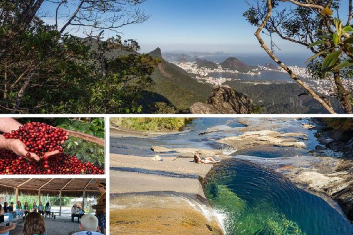 Descrição da imagem