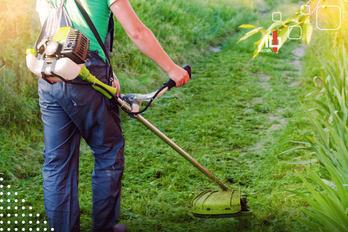 Descrição da imagem