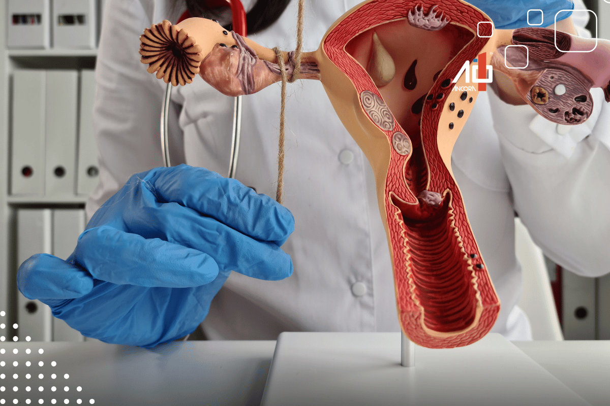 Descrição da imagem