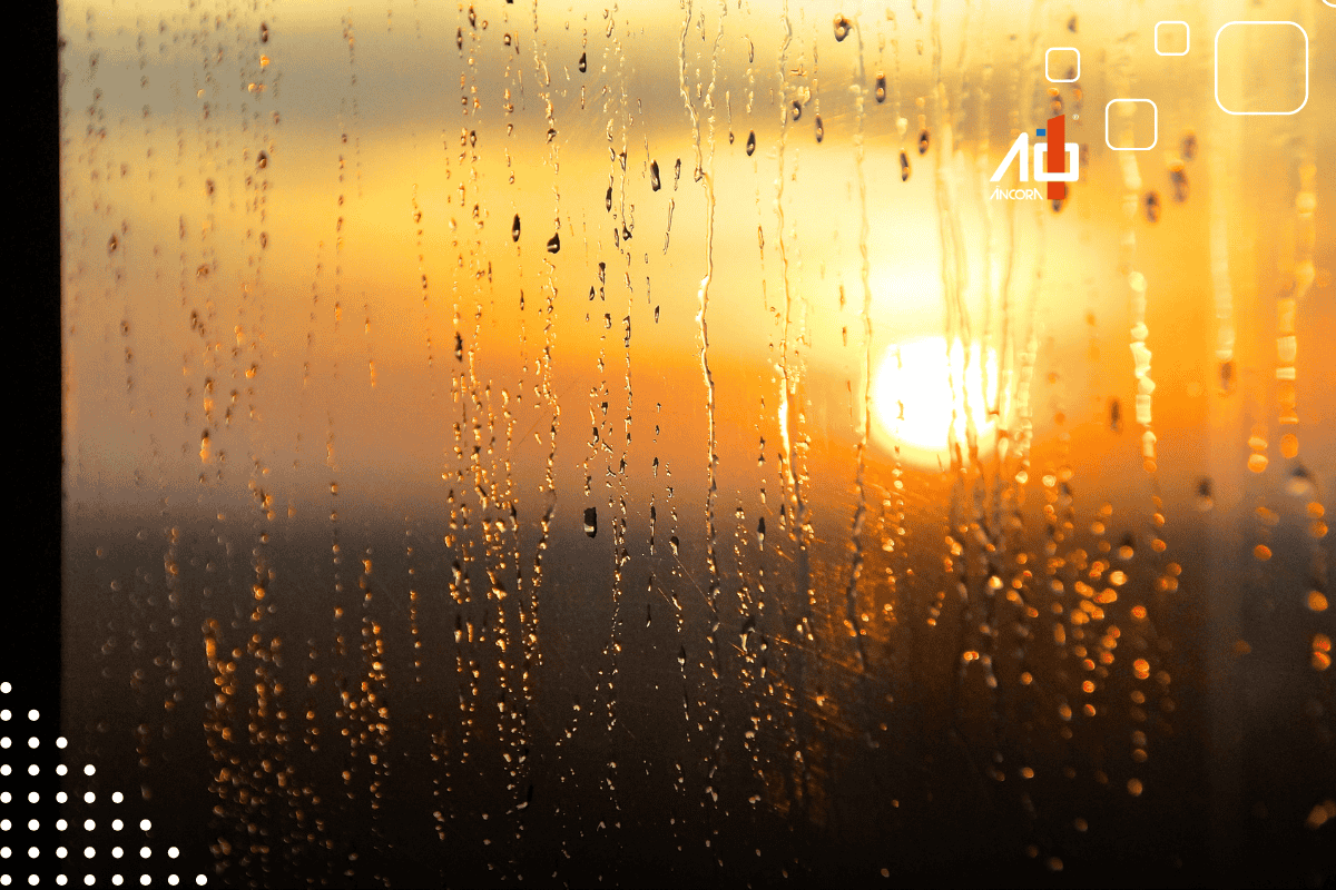 Descrição da imagem