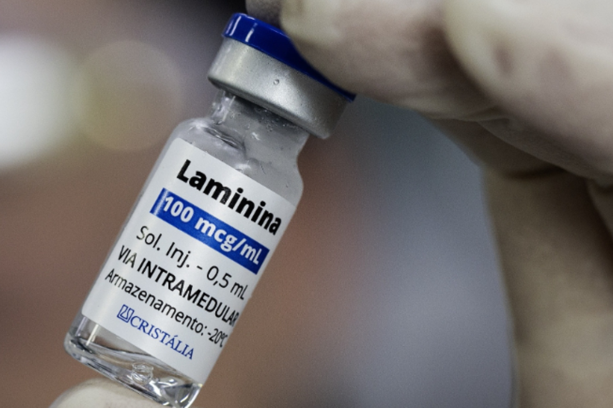 Descrição da imagem