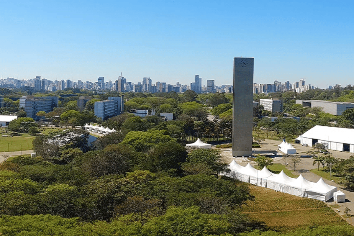 Descrição da imagem