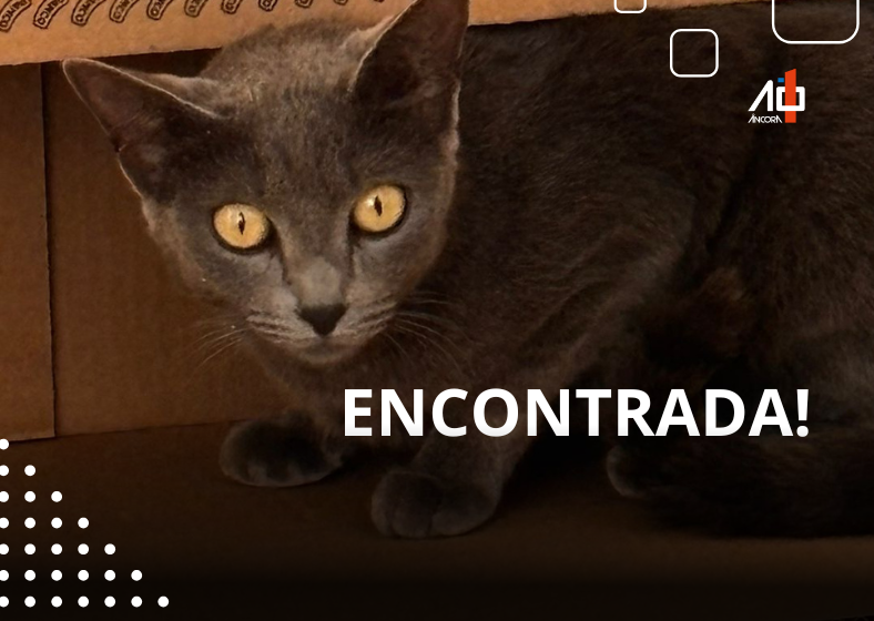 Descrição da imagem