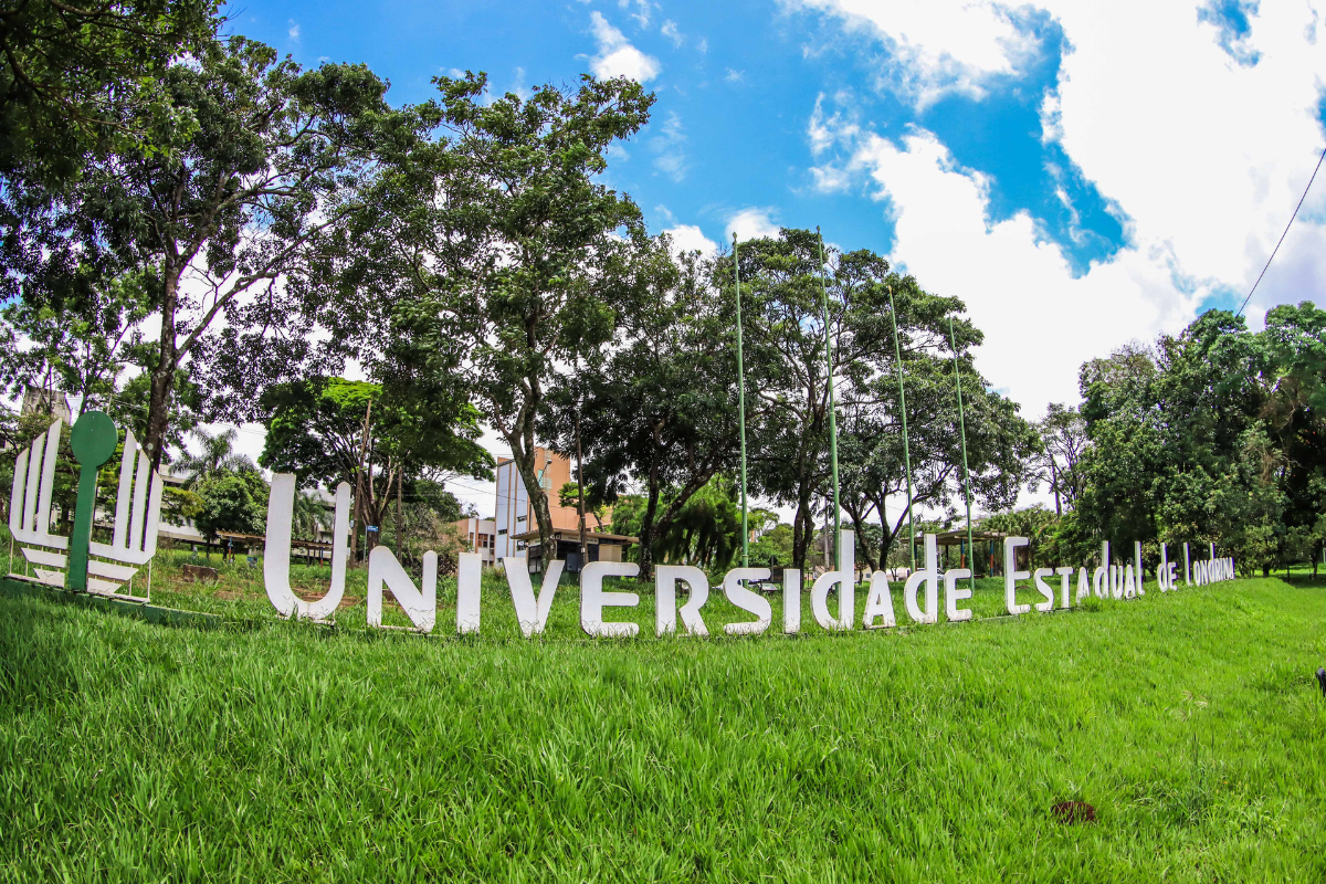 Descrição da imagem