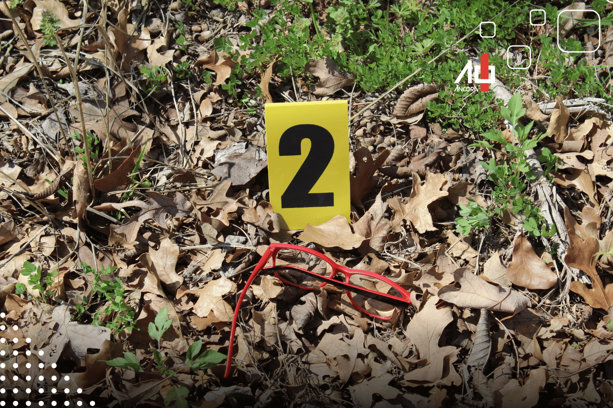 Descrição da imagem