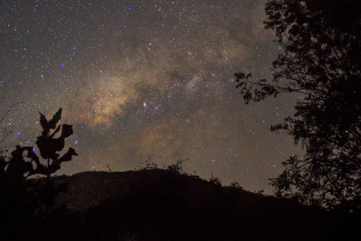 Descrição da imagem