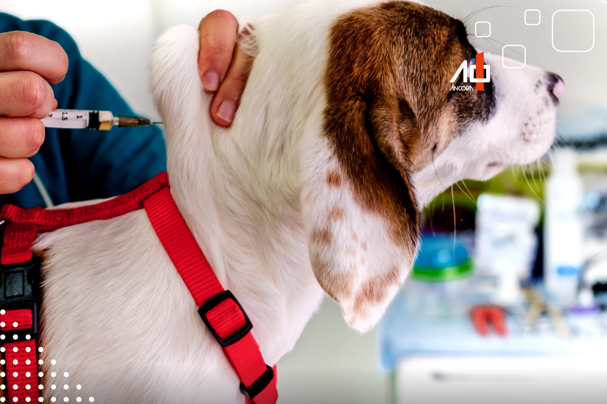 Descrição da imagem