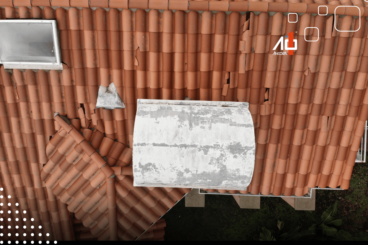 Descrição da imagem