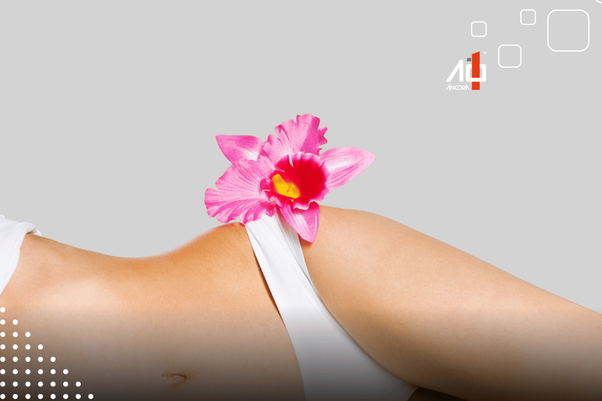 Descrição da imagem