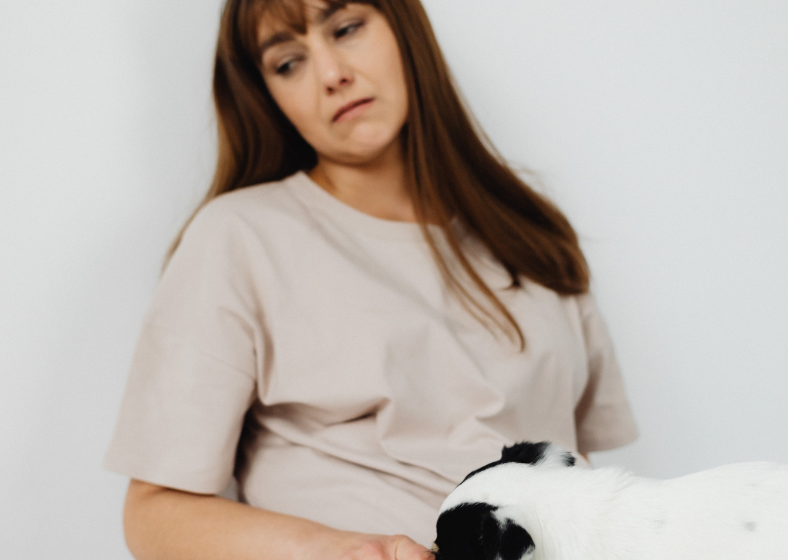 Descrição da imagem