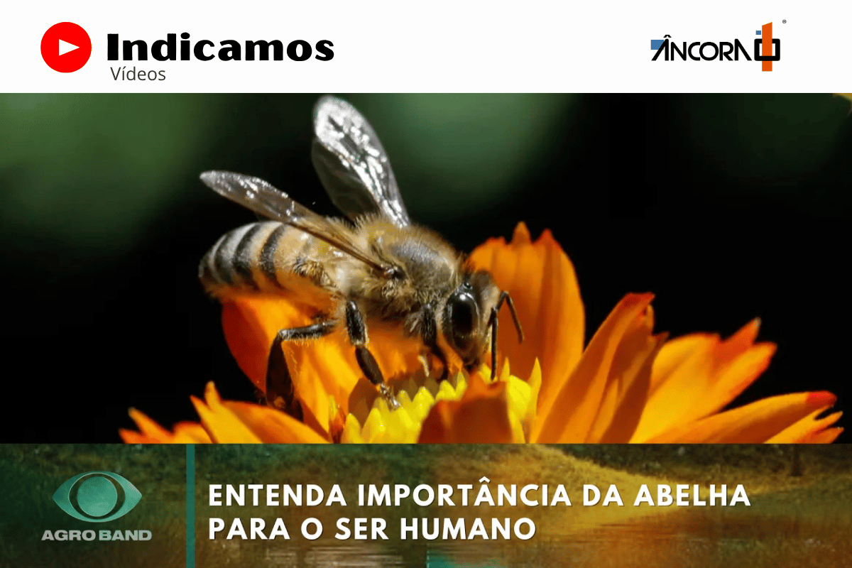 Descrição da imagem