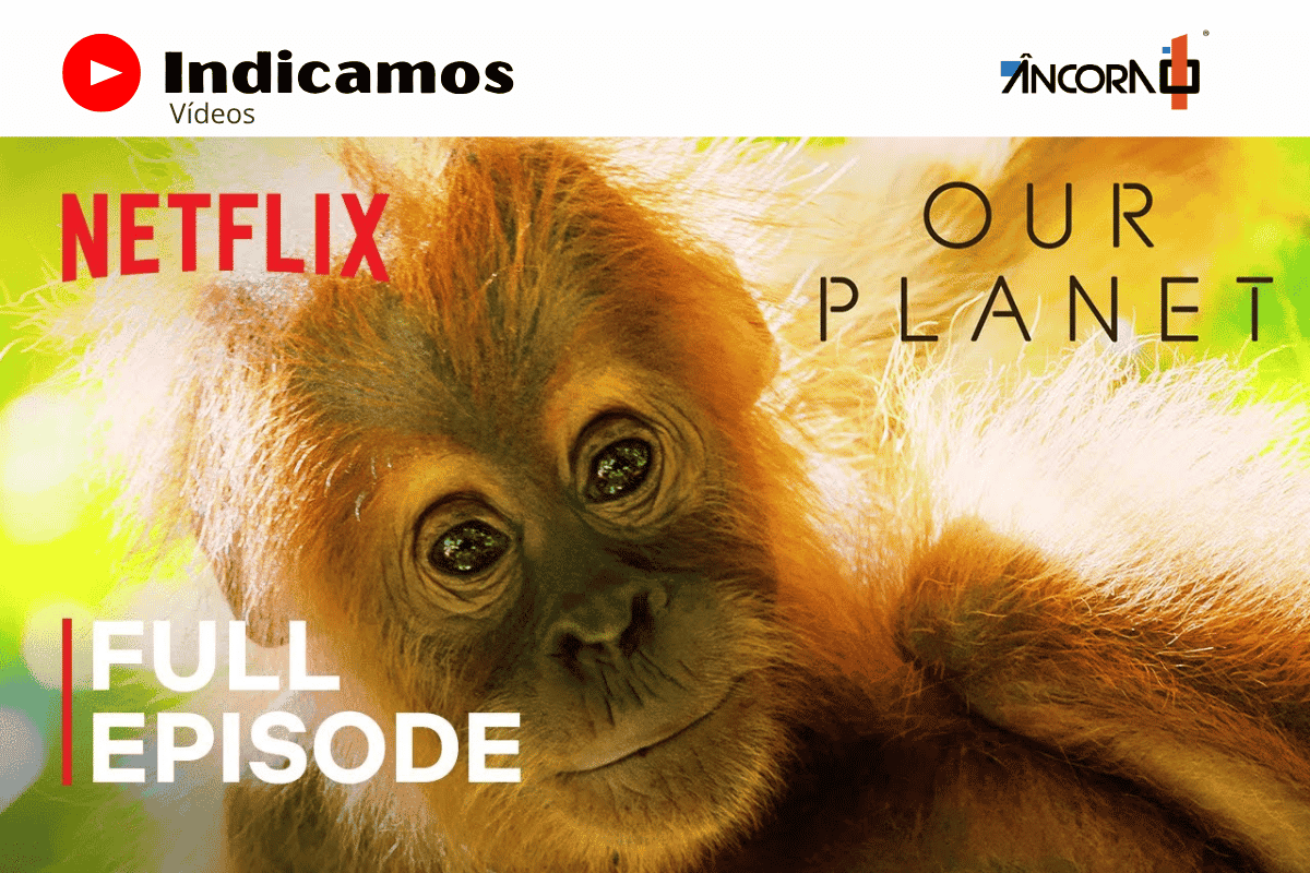 Our Planet | Jungles | Episódio completo | Netflix