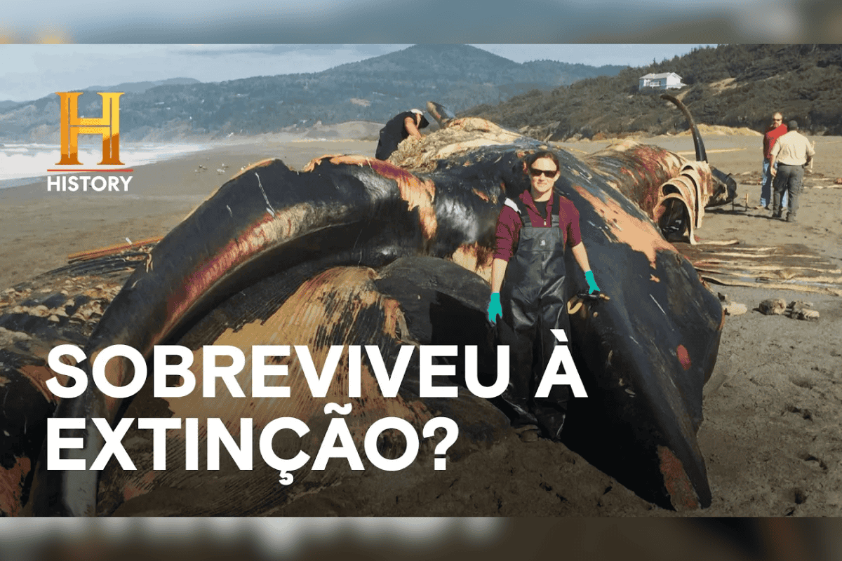 Parece IA, mas é bem real! | Mistérios Revelados | History