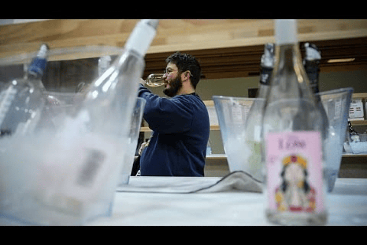 Vinhos sem álcool ocupam lugar de destaque na feira internacional de Paris